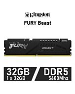 Kingston FURY Beast 32GB DDR5-5600 CL36 1.25v KF556C36BBE-32 Desktop Memory by kingston at Rebel Tech