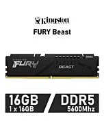 Kingston FURY Beast 16GB DDR5-5600 CL36 1.25v KF556C36BBE-16 Desktop Memory by kingston at Rebel Tech